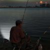 240 Lumens, Battery Powered Camping Lantern