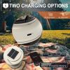 Solar Camping Lantern, Vintage Decorative Retro Horse Lamp with Multifunctional Whistle