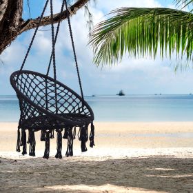 Hammock Chair Macrame Swing Max 330 lbs (Color: Black)